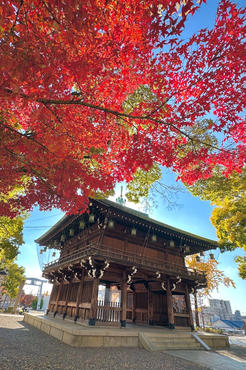 PONTAMAO's tweet photo. 石切劔箭神社⛩️

物部氏の祖先神である
饒速日尊・可美真手命を祀る

社史によれば
河内と大和の一帯は鳥見の里と呼ばれ
鳥見一族の長、長髄彦は饒速日尊に従った
尊はこの地に水田を拓き大きな実りをもらした
これが近畿地方の稲作文化の初めとなったといいます🌾🌾

天気が良く紅葉も綺麗でした😊✨ https://t.co/ZC1mxFTwK7