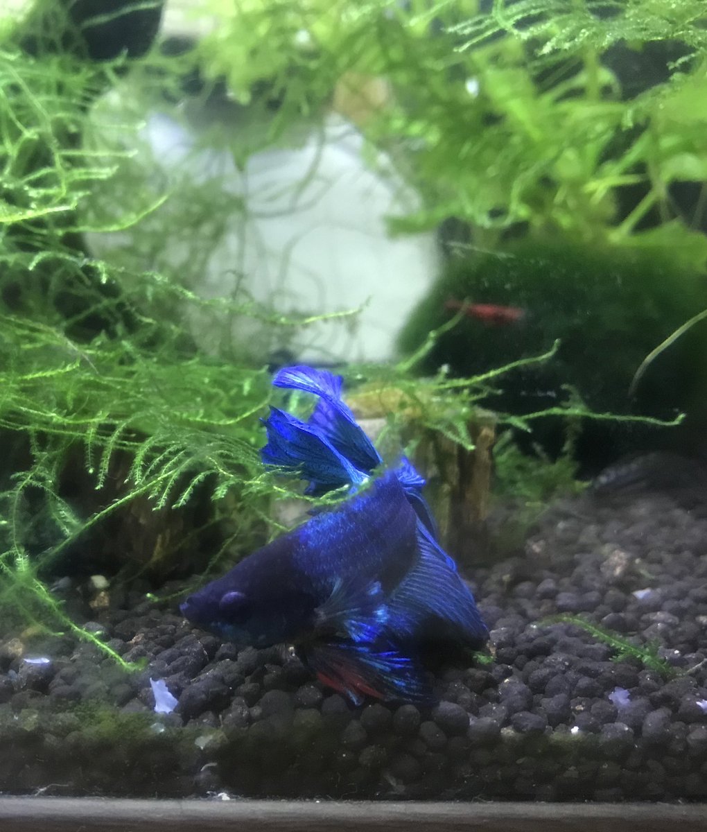 통화를 좋아하는 이유가 있다
톡으로는 담을수없는 감성이
목소리를 통해  느낄수있기에 
욕하는 애들 좋아하지않는다
기본적으로 서로에대한 예의를 기반으로 
대화하기를 원한다
기분좋은 대화를 하면서 평안을 느끼길 💕