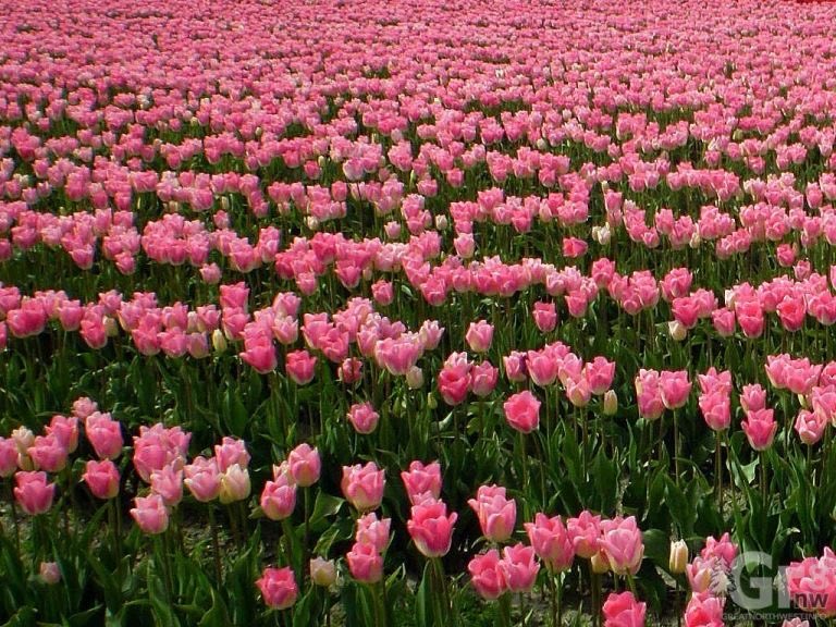 "حياتي بعد ما دخلها ذاك الشخص"
                     😢😢