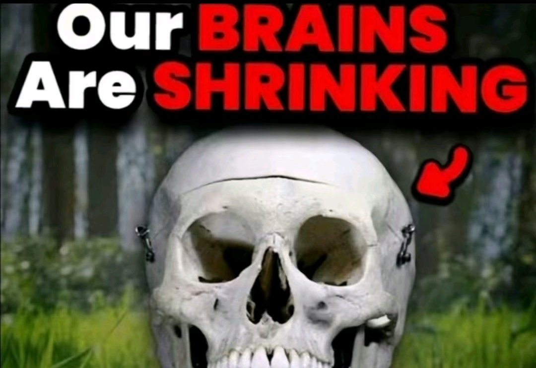 aNormalPerson tweet media