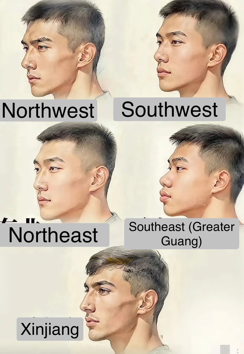 morris_que14's tweet image. The Han&apos;s reputation got ruined in the West because most of the earliest Chinese movements to the US and the west in general were Cantonese like the guy at the bottom right. Had whites initially interacted with northern Han, the opinions may have been drastically different