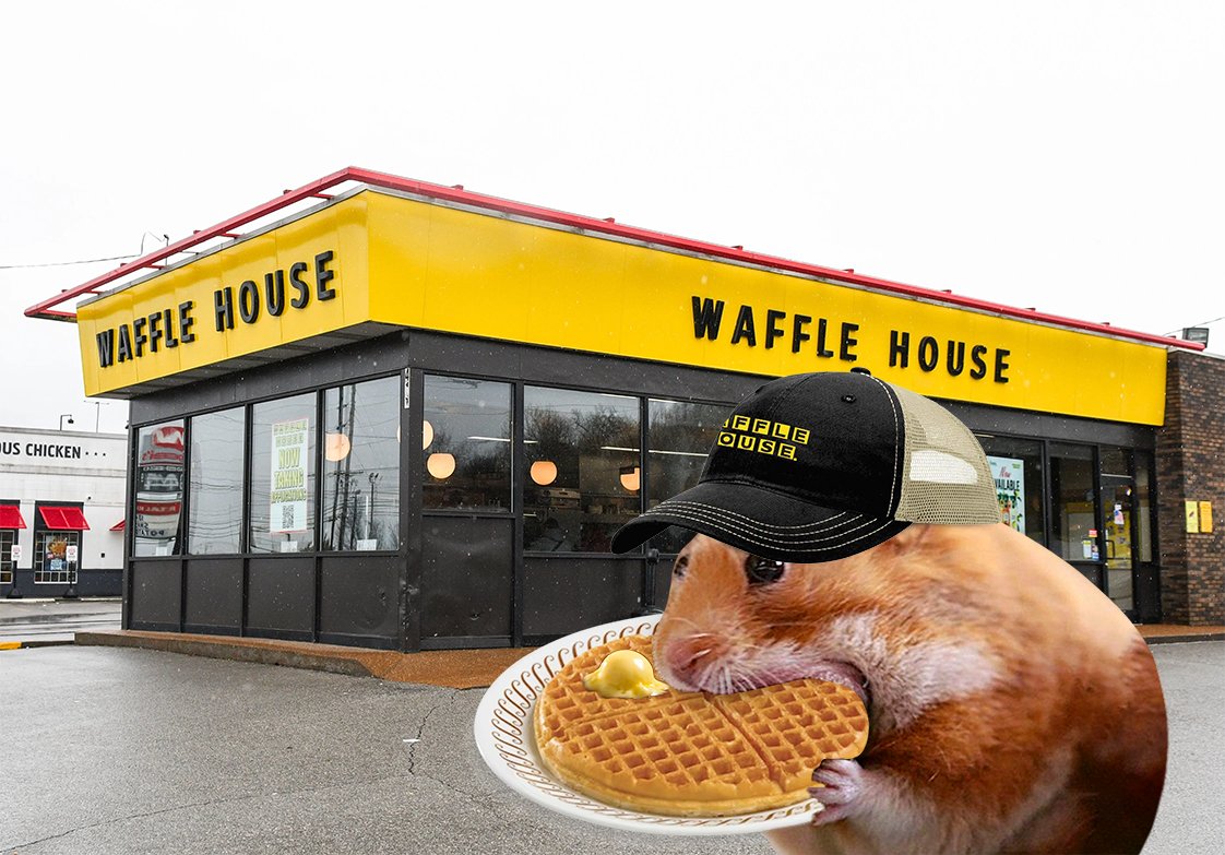 GNOM to all delusional hamsters 🐹