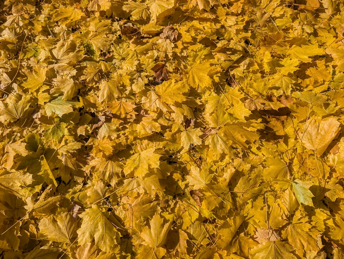 hackernewstop5's tweet image. Build Your Own Router with URLPattern() #HackerNews
jschof.dev/posts/2025/11/…