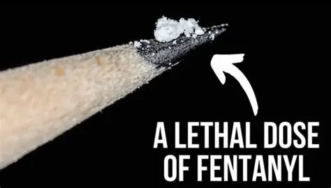 AMERICA IS UNDER ATTACK AND NOBODY WANTS TO SAY IT OUT LOUD
More Americans have died from drug overdoses since 2020 than died in World War II. Read that again. We lost over five hundred thousand people in a few years. It's not a health concern or crisis. it's a national massacre
