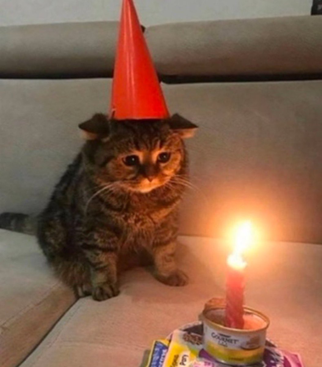 cabana_var's tweet photo. Hoy el mahalle está de fiesta porque cumple años este ser de luz @HKercris 🐼 

Aunque los códigos descuento sean tu criptonita y tus dosis de asco viajero hayan alcanzado su máximo esplendor este año, te quiero siempre A MI LADO 🫶🏻❤️

#FelizCumpleCrisMágica 🪲⚜️ https://t.co/vuxA4knALN