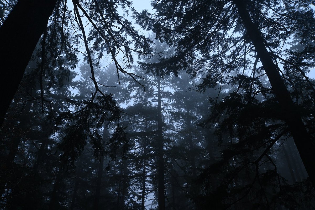 ffredom_fighter's tweet image. Going within