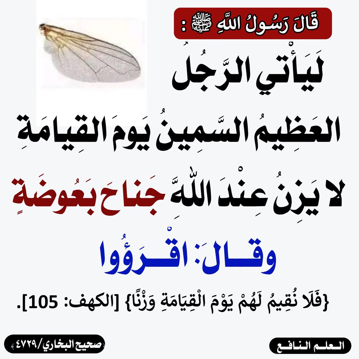 الكتابُ والسُّنة (@kitabwasunna93) on Twitter photo 