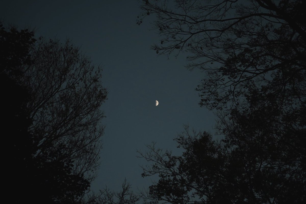 mrrr1110's tweet image. 