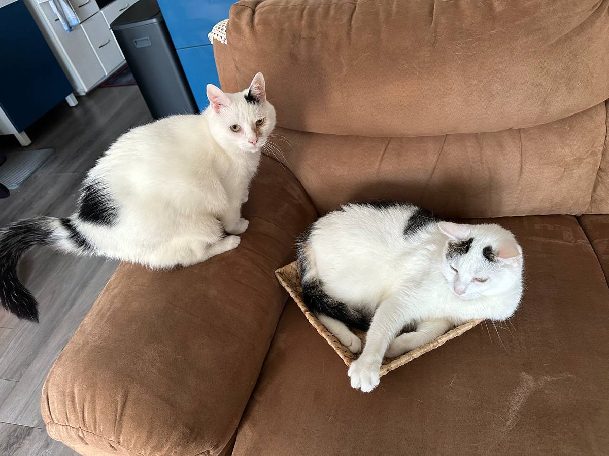 🍄🐇Slug🐌🍄 tweet media