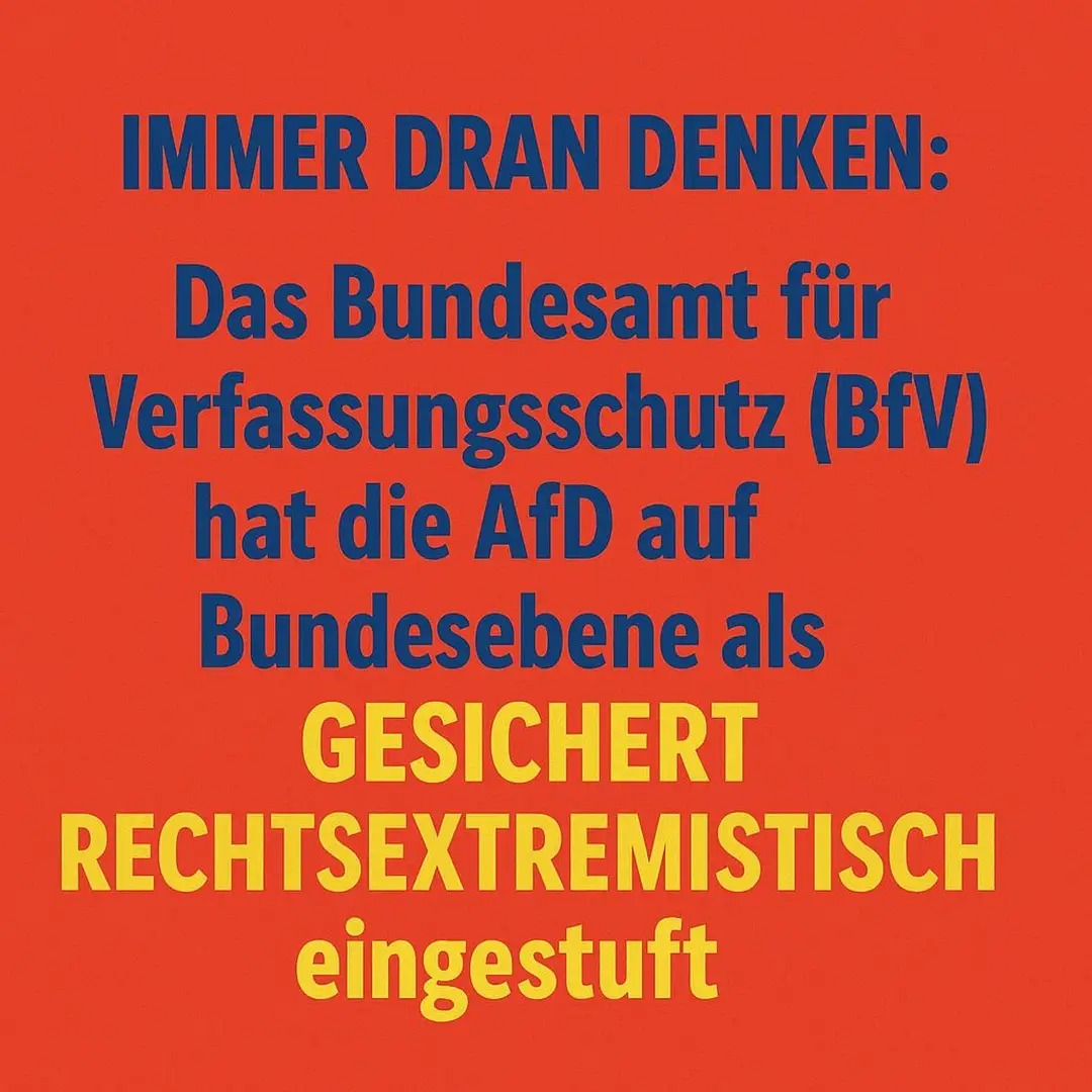 DaniWeicheL's tweet image. #wirsindmehr #fckafd #AfDVerbotJetzt #NieWiederIstJetzt #FCKNZS #Brandmauer