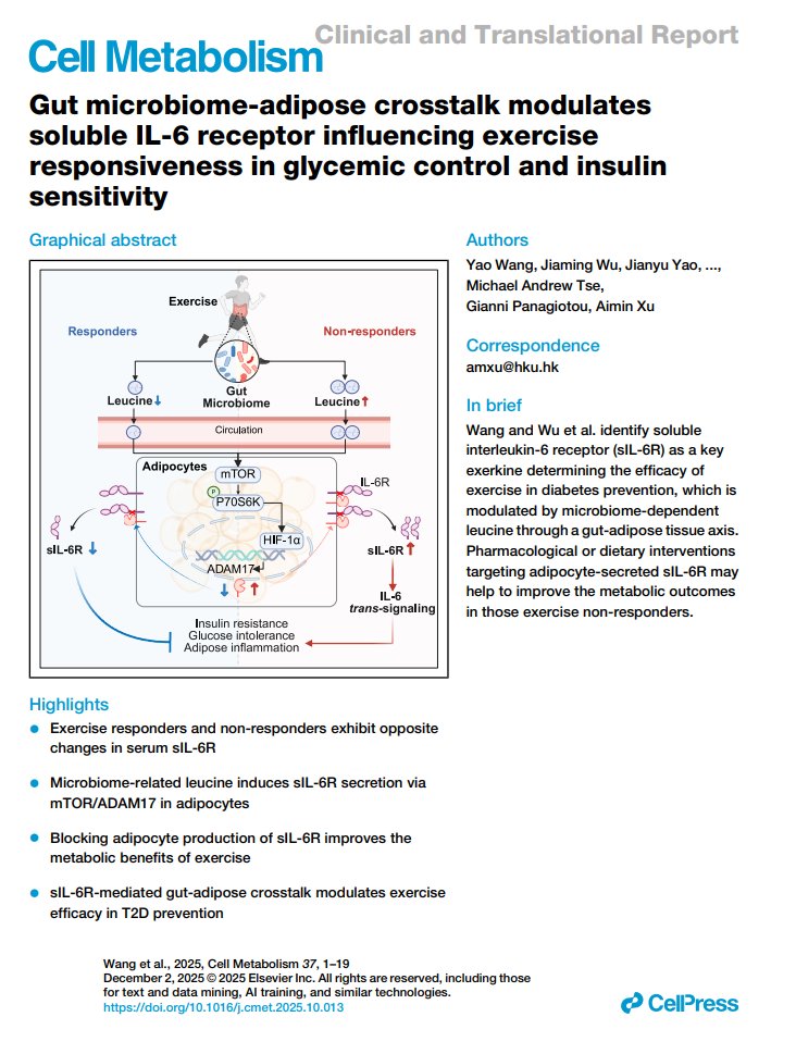 アンナのおっぱいマウスパッド 「下ネタという概念が存在しない退屈な世界」 C88 アンナのおっぱいマウスパッド 「下ネタという概念が存在しない退屈な