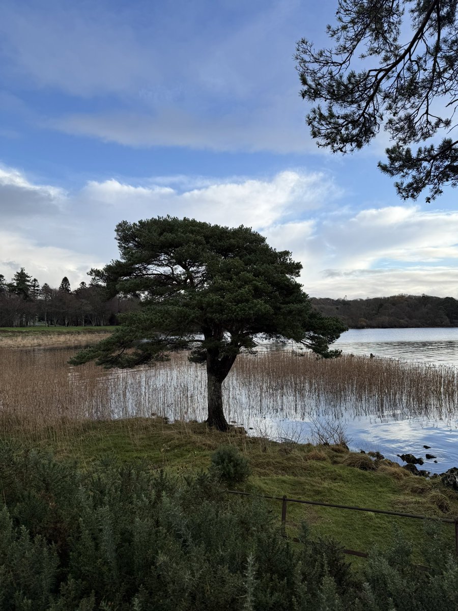 Anja Mueller tweet media