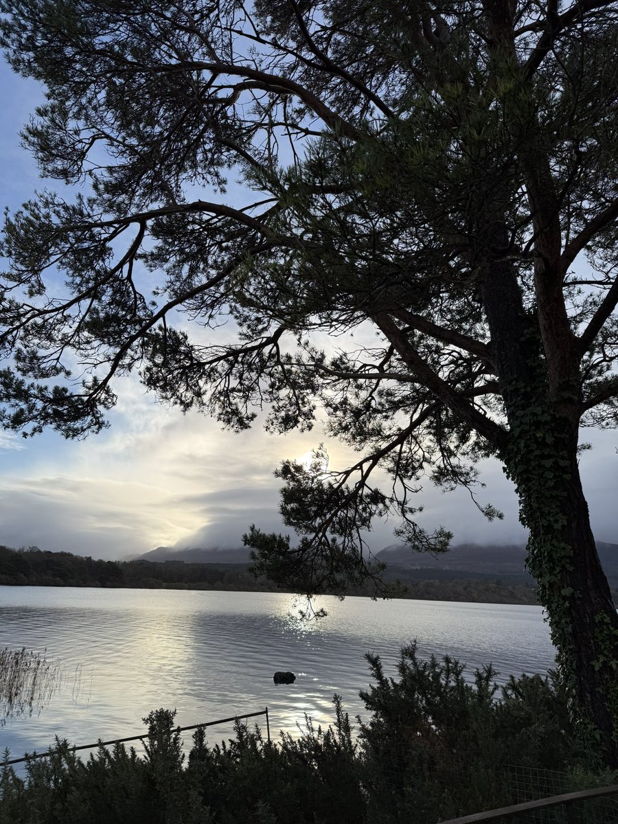 Anja Mueller tweet media