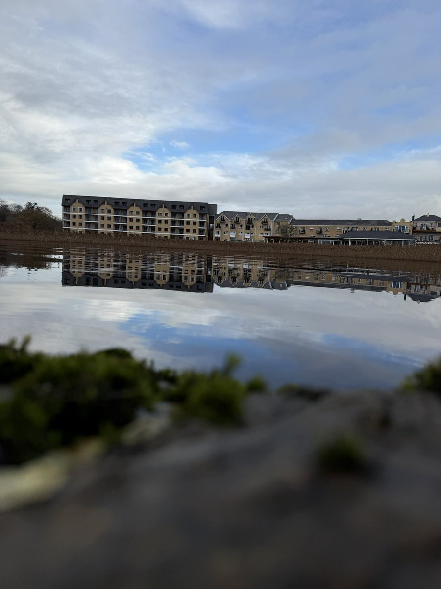 Anja Mueller tweet media