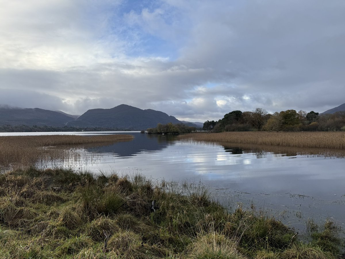 Anja Mueller tweet media