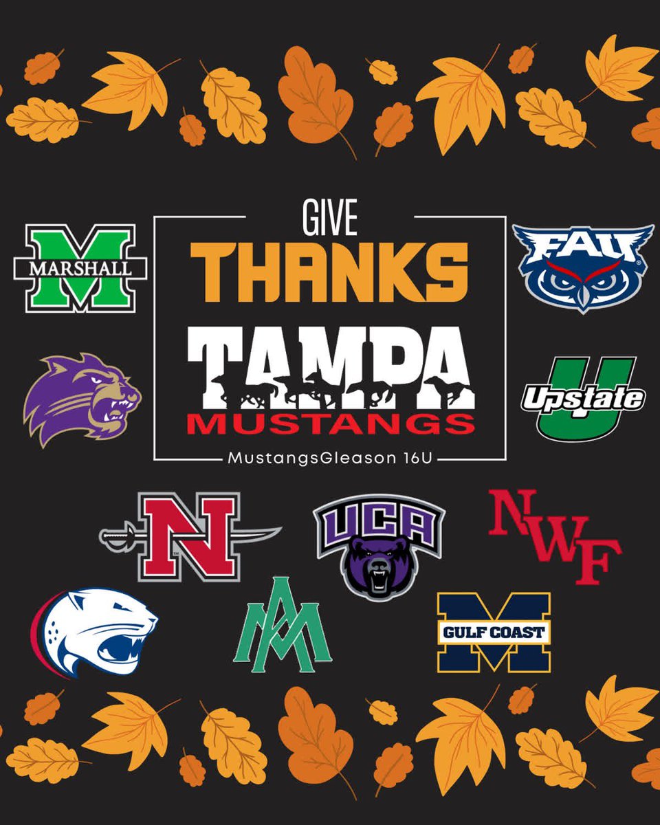 Tampa Mustangs Gleason 16U tweet media