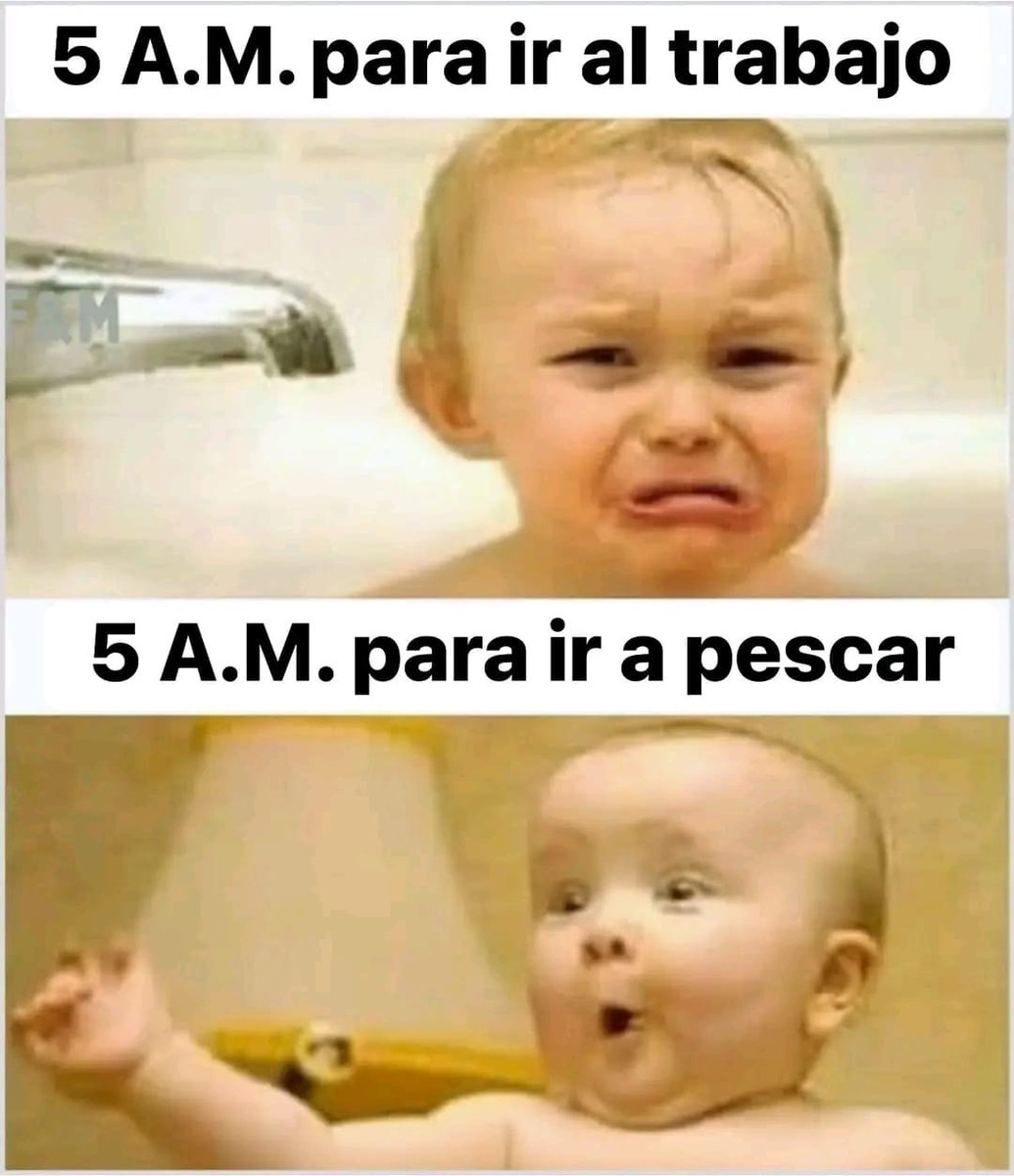 BlogPesca's tweet image. 