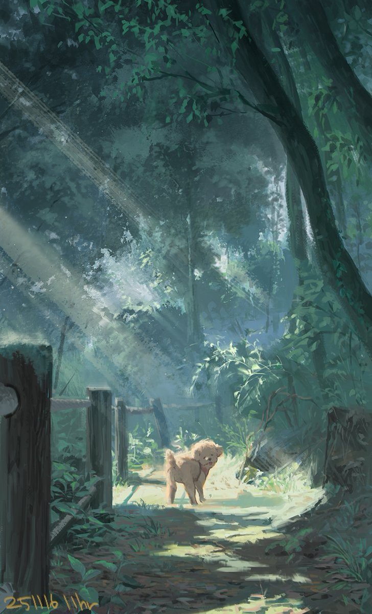 251116 11hr 아침 숲