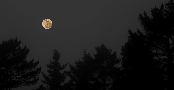 jessaricc's tweet image. “I will clamber through 
   the clouds and exist.&quot;
         — John Keats