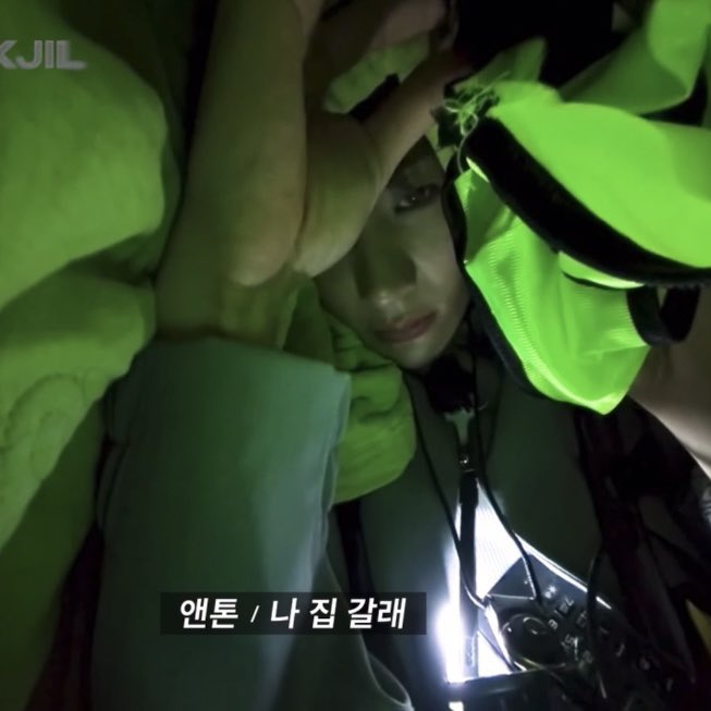 puppigsaurus's tweet image. 