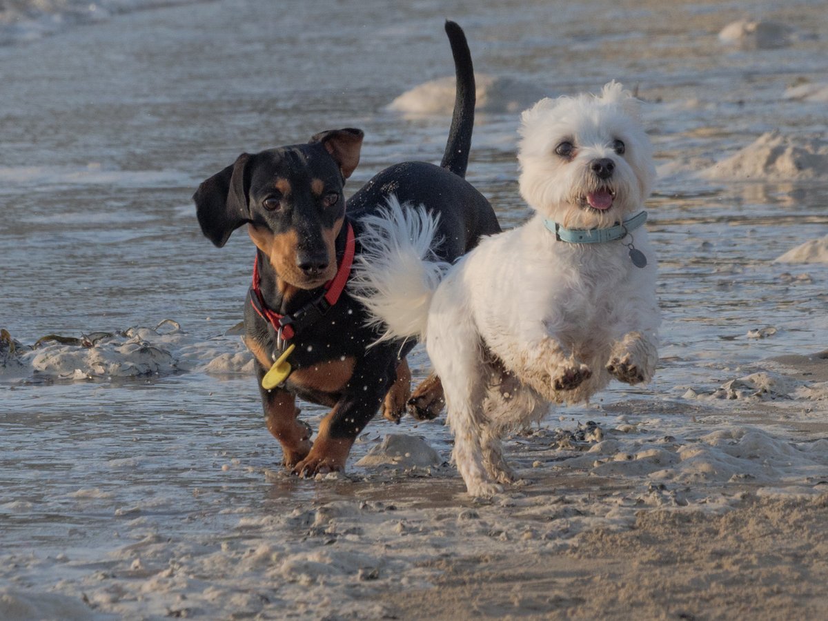 mittu12's tweet image. #AlphabetChallenge #WeekVforVowels
Energetic