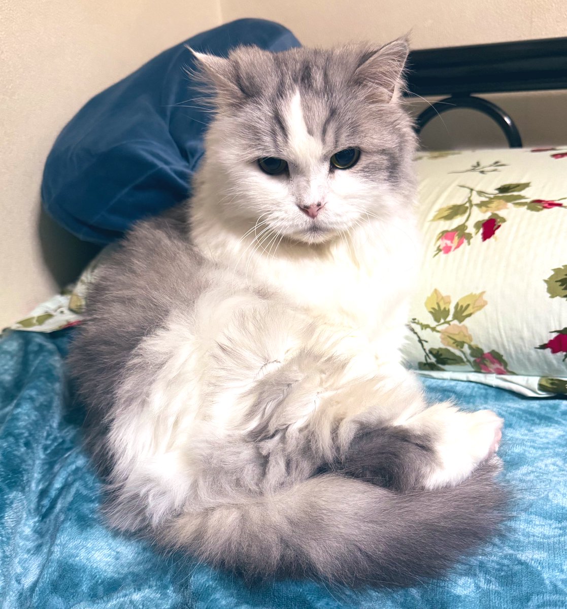 YUKA (@YUKA1974) / Posts / X