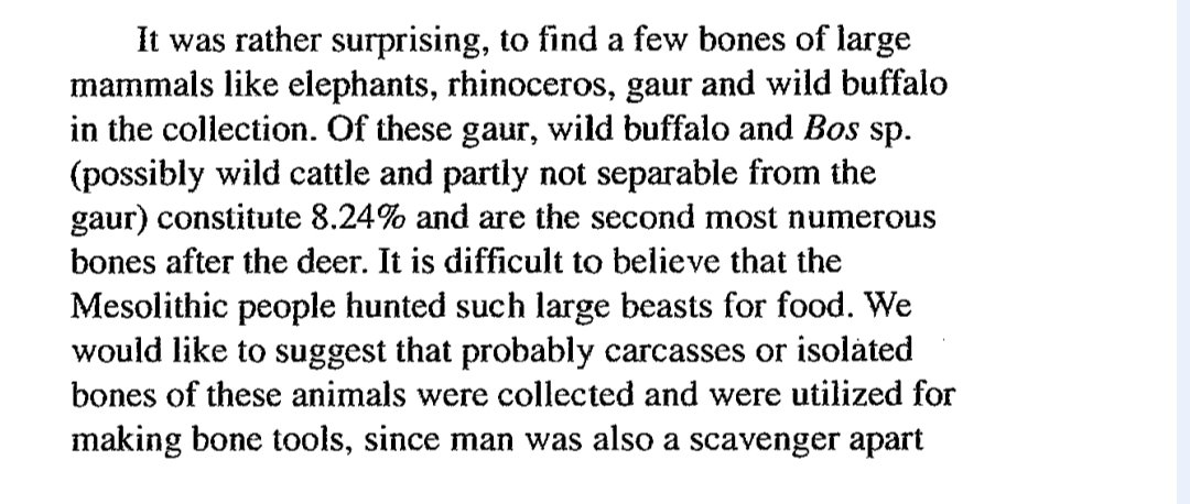 satoverma's tweet image. In Mesolithic age (~12-10,000 ybp), you could have encountered megafauna such as elephants, rhinoceros, gaur etc. right there in the heart of Gangetic plains (Damdama, Pratapagadh in UP). They became extinct as the forests were cleared by the humans during Neolithic age.