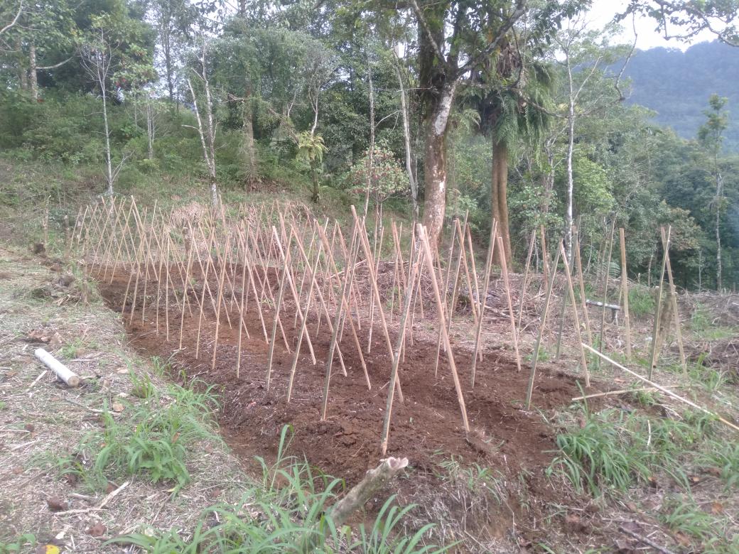 Post a picture YOU took. Just a pic. No description