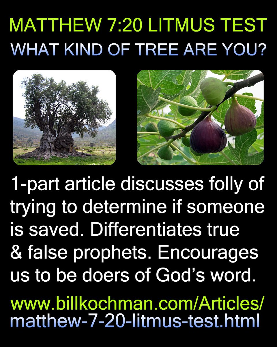 Bill_Kochman's tweet image. MATTHEW 7:20 LITMUS TEST: WHAT KIND OF TREE ARE YOU? -- a Bill's Bible Basics article 

#Matthew720 #LitmusTest #TrueProphet #FalseProphet #FruitfulTree

This Bill’s Bible Basics 1-part article by Bill Kochman can be read at:

billkochman.com/Articles/matth…