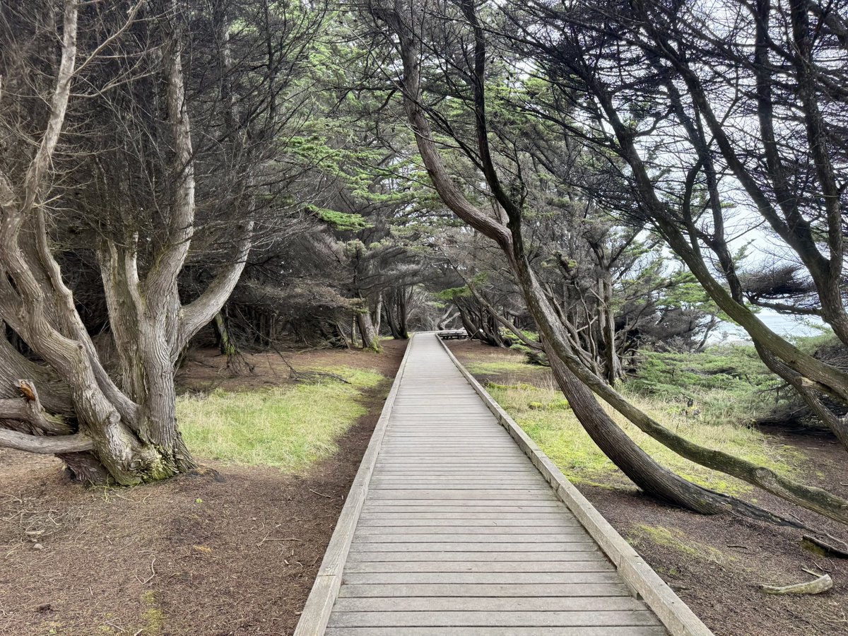 MappingThePath's tweet image. Dodging the rising tide and exploring tide pools in MacKerricher State Park, Fort Bragg, CA #travel