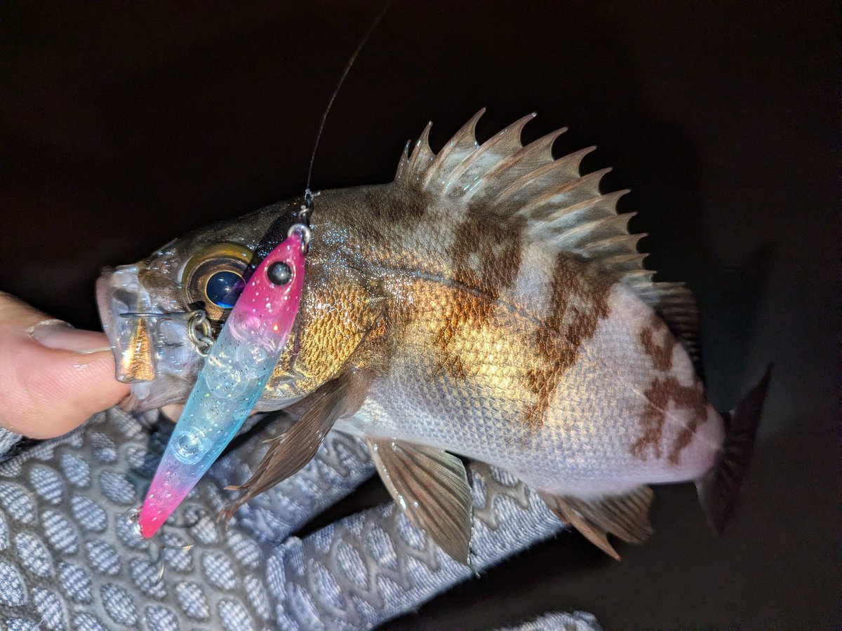 チキュー (@chikyu523) / Posts / X