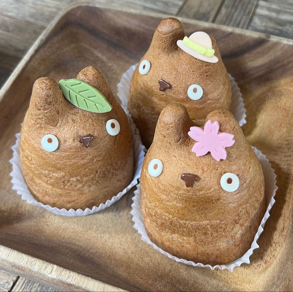 cute daily ✧˖° tweet media