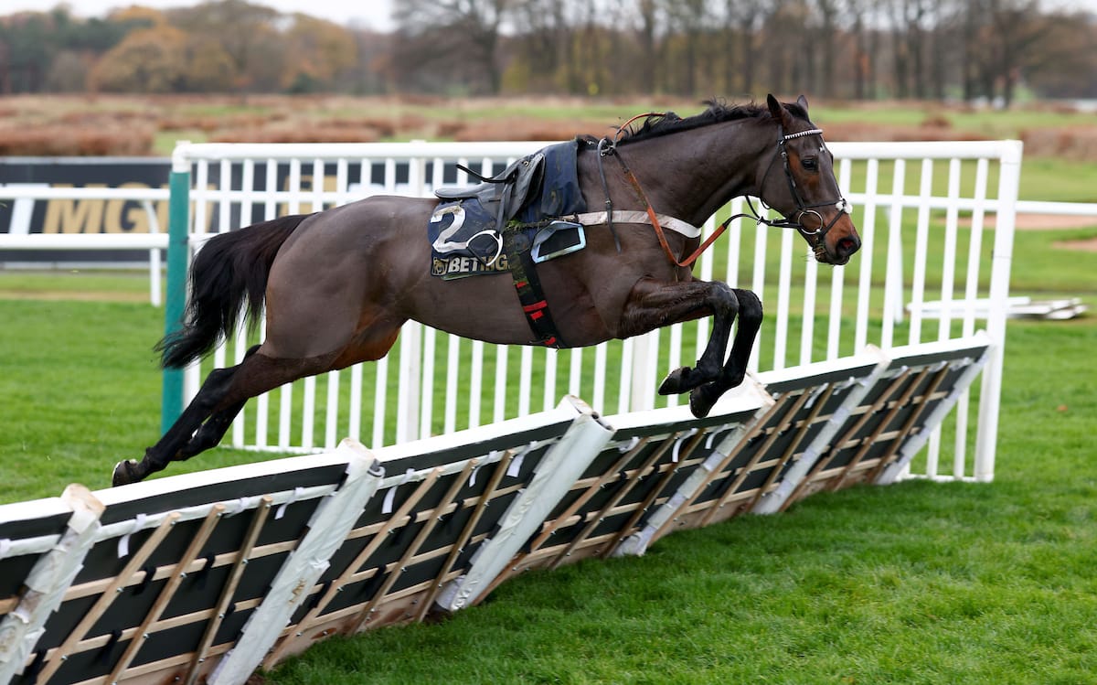 If only there was such thing as jockeyless races hey... 

Constitution Hill pinging the last after his fall at Newcastle today. 👀

📸 focusonracing.com

#HorseRacing