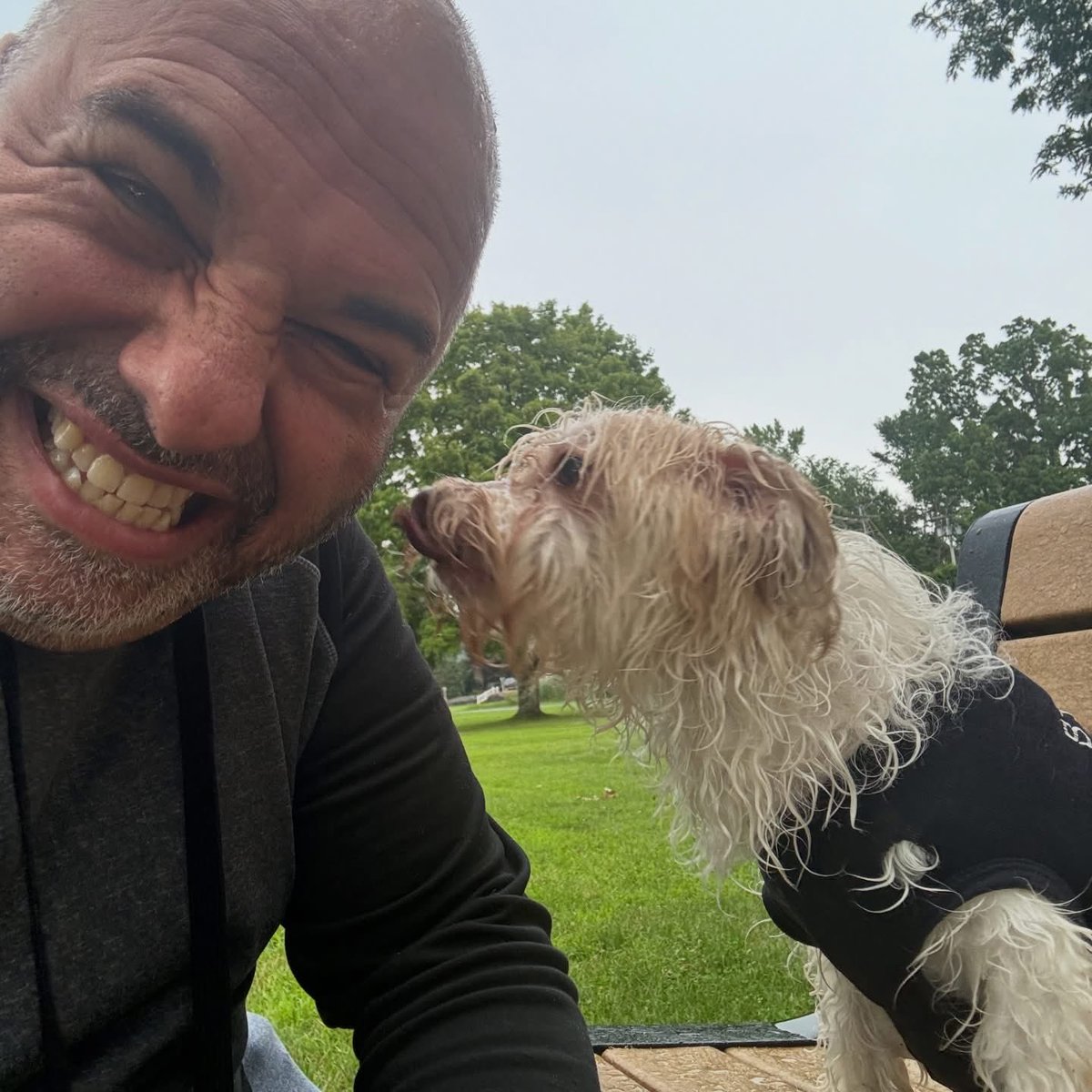 Michael D. Sgro, CPBC tweet media