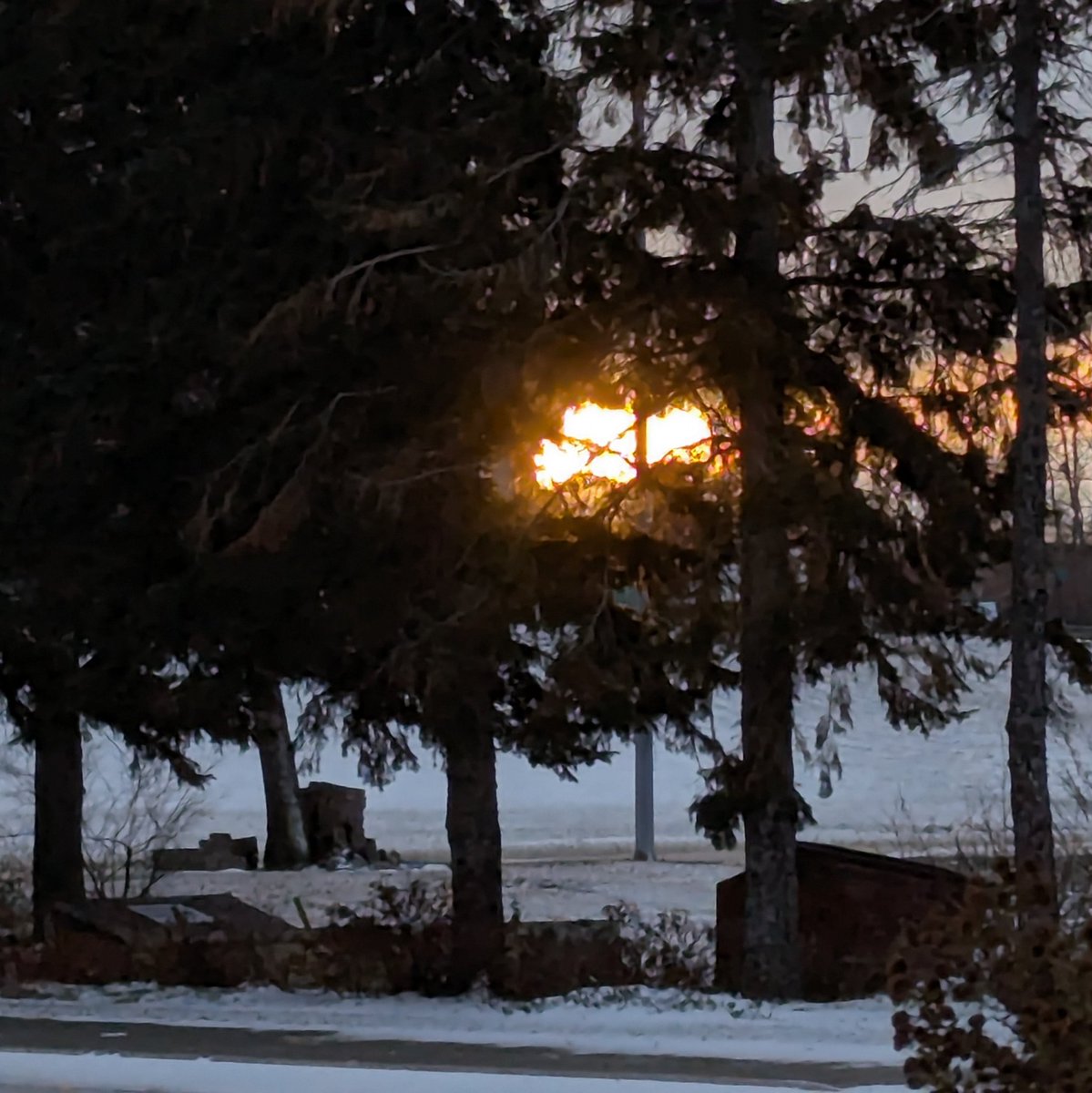 Grampa1950's tweet image. Good morning my lovely phone friends!!! 

It’s #SquareCropSaturday again… let’s see those shots cropped into a square 🔲
Sunrise this morning ☀️