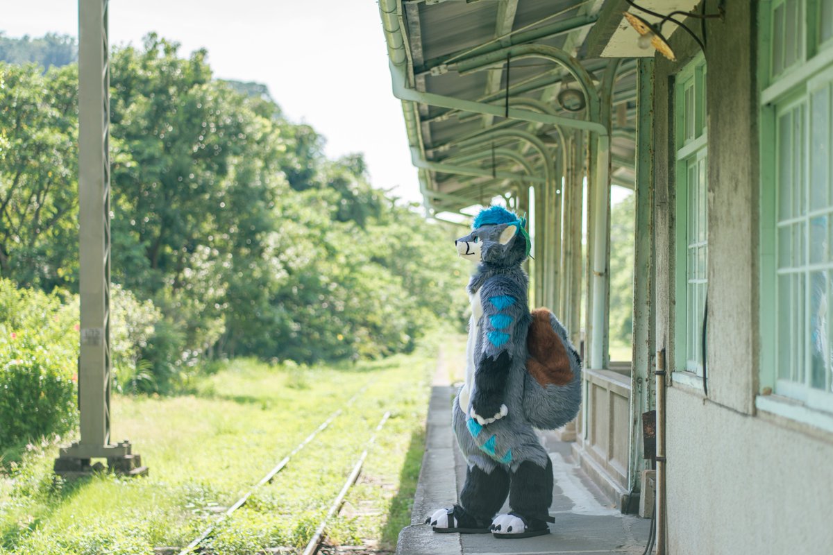 📷: <a href="/daisukechen_tw/">大助喵➡ちるこん</a>

✂️: <a href="/kigurumikagetsu/">きぐるみ花月/Kigurumi Kagetsu</a>

#FursuitFriday #MountainPineTW