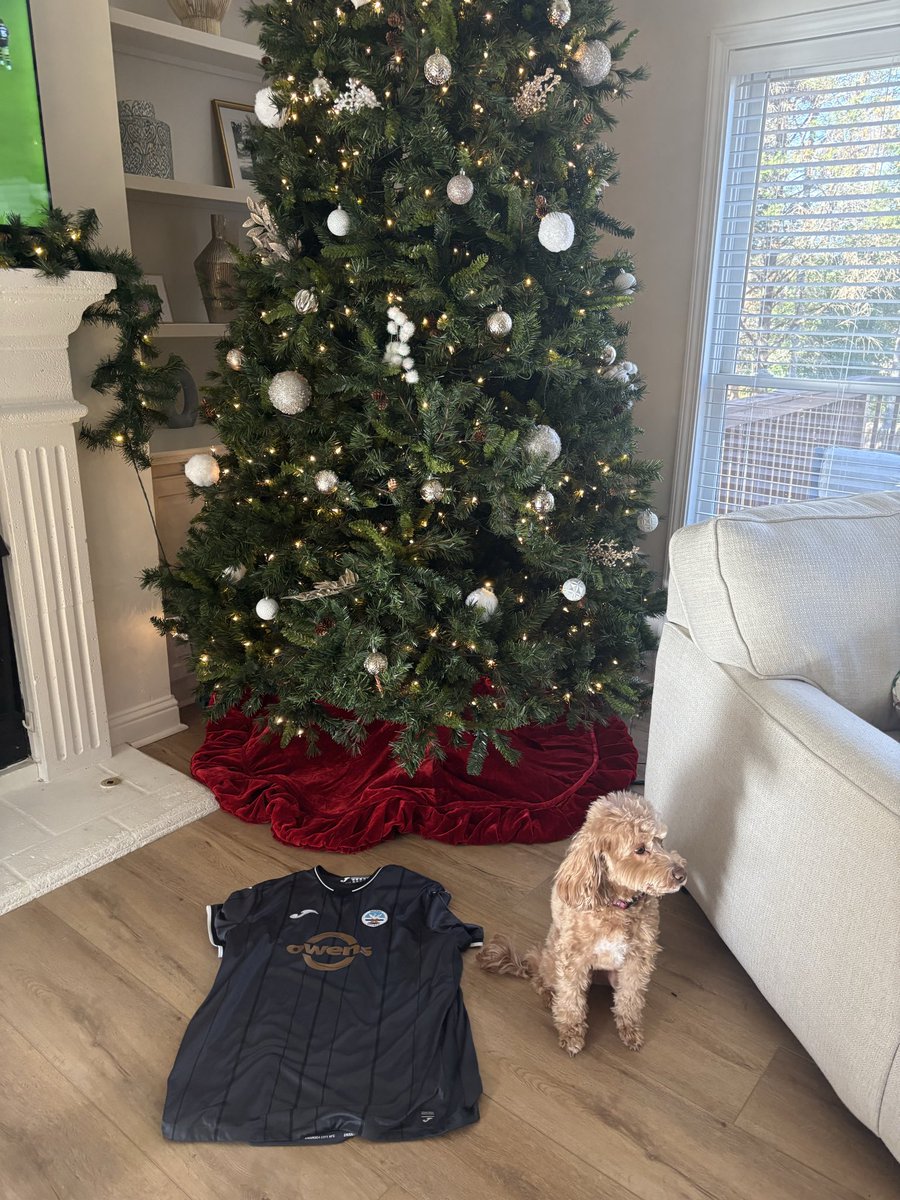 BenjiCabango's tweet photo. @SwansOfficial #jacksathome
Eric just told me the only thing on his Christmas list is Vitor Matos. Shopping all sorted https://t.co/Jl5KchHeYA