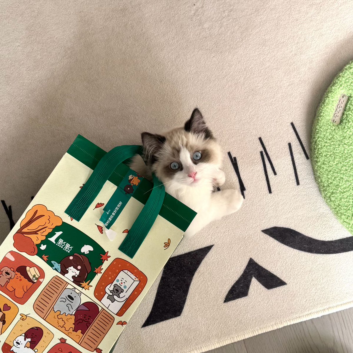 蜜茶- tweet media