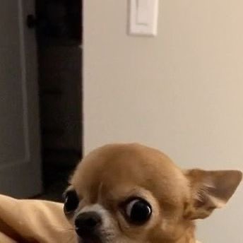 nāao ☁️ tweet media