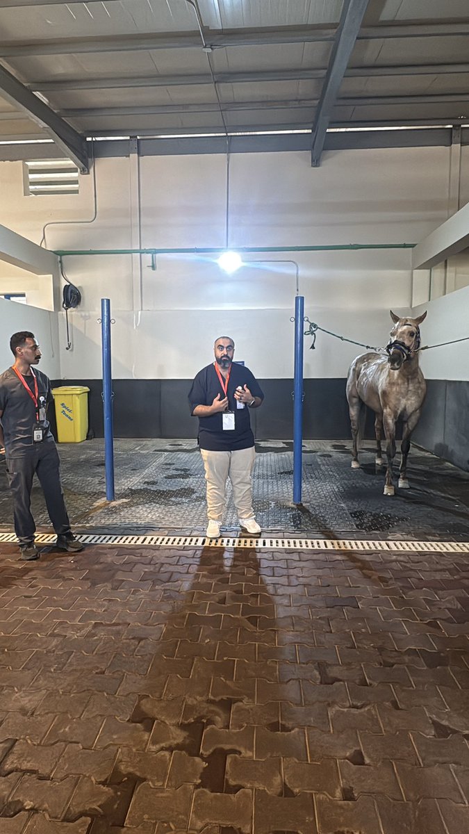 ptshoog's tweet photo. Attended a Hippotherapy workshop today 🐴✨
Excited to apply these techniques at Anah Center to enhance patients’ balance &amp; functional progress.
Thanks to Anah Center for empowering us with continuous learning opportunities! 🙏 https://t.co/euQXmKAFHs