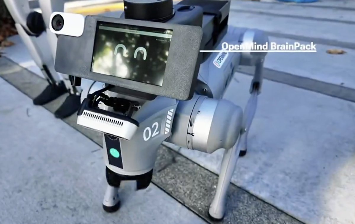 Web300fa's tweet image. 牛逼了， @openmind_agi CTO @boyuan 发布一条两分多钟的视频：“我们的新定位算法，效果已经超过行业主流方案。关键是：不需要预设起点，开机就能定位。”

过去十年，我们被市场声音洗脑，以为“定位”就得领着机器人走一遍、再建图、再存图、再对齐。…