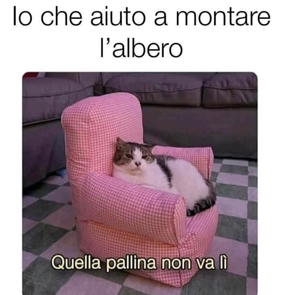 Roberta56439869's tweet image. Piuma dice che vorrebbe questa poltroncina 🙄