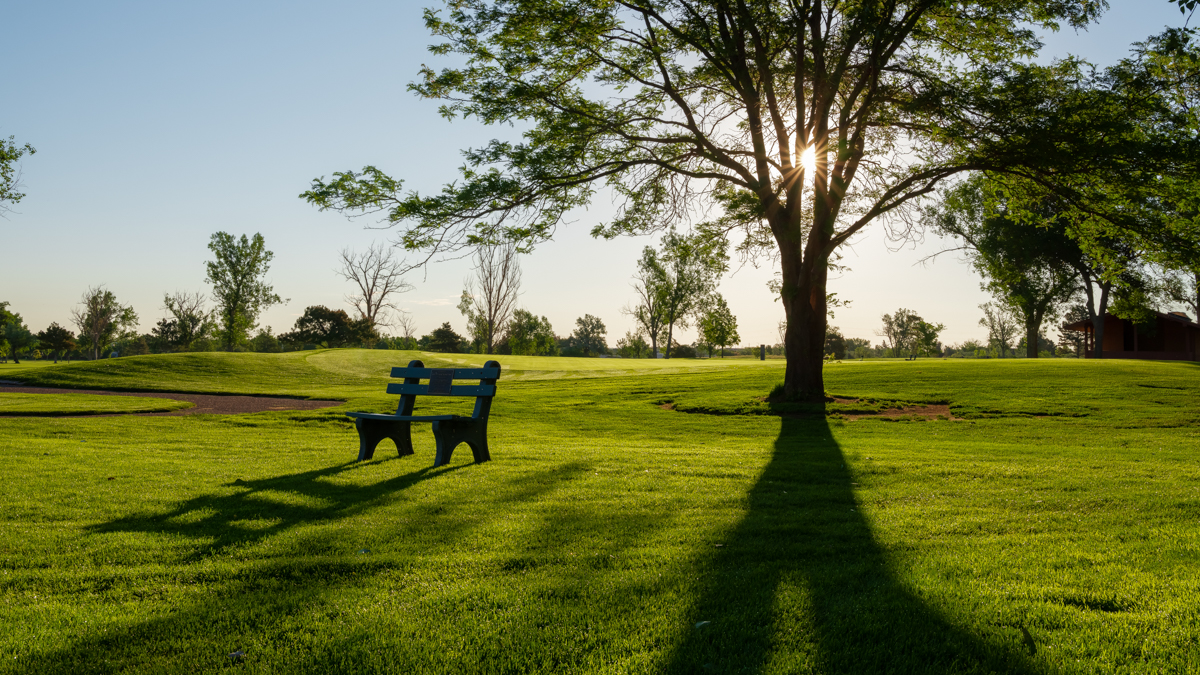 Aurora Golf tweet media