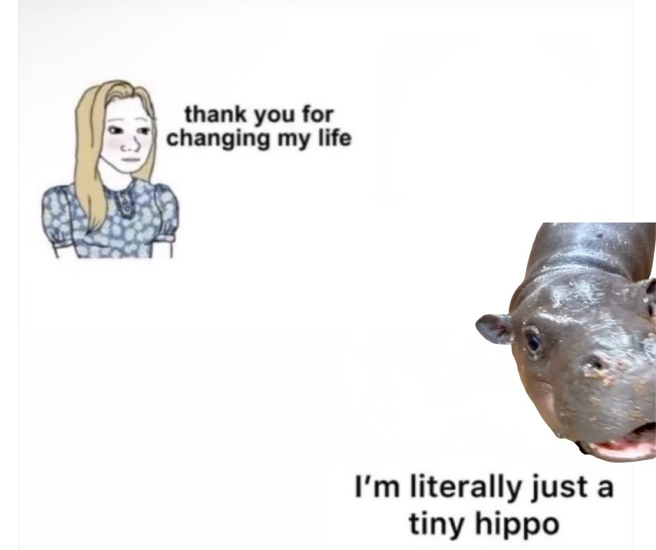 Mars (@marspygmy_) on Twitter photo 