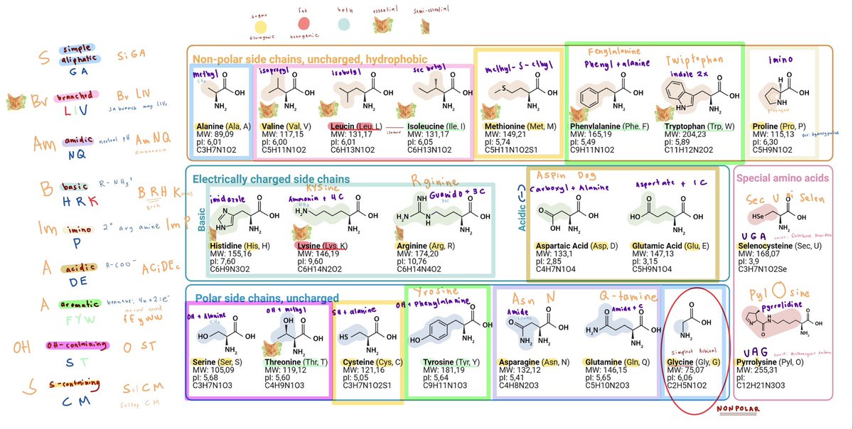 ⭐️kari, fRPh tweet media