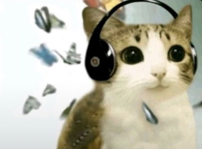 Así me siento cuando estoy escuchando música en el tren y suena lag train (es una referencia)