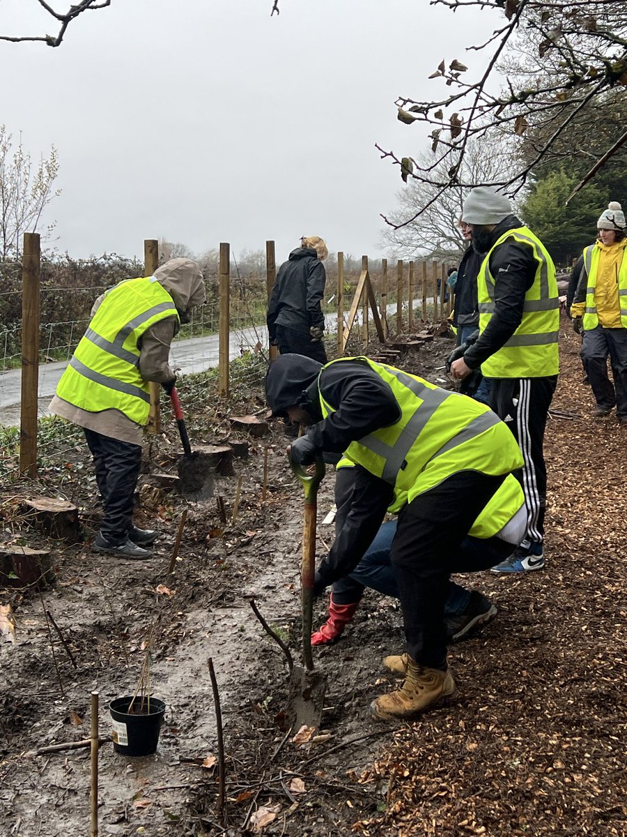 Friends of Whirlow Brook Park tweet media