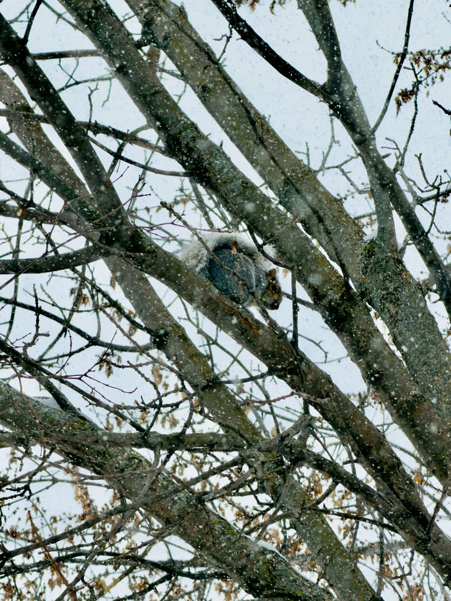 외롭고 높고 쓸쓸하구나.