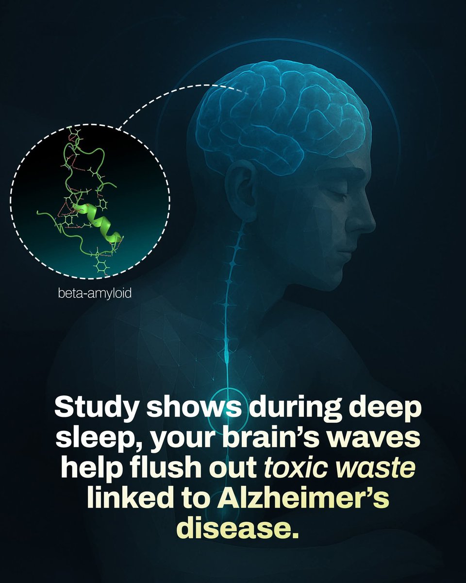 ShiningScience's tweet image. During deep sleep, the brain produces slow, rhythmic waves that play a crucial role in maintaining neurological health. Recent research in Science shows that these waves help drive cerebrospinal fluid through the brain, flushing out toxic metabolic waste. Among this waste is…