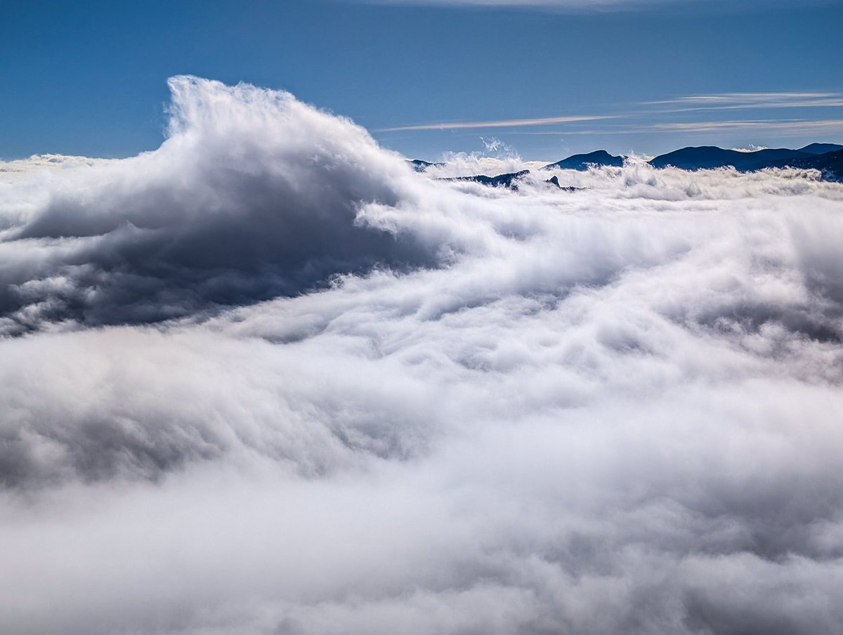 rvandersmith's tweet image. Snowy cloud inversion this morning! #COwx
